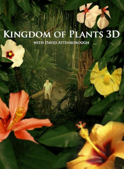 دانلود سریال Kingdom of Plants 3D با دوبله فارسی