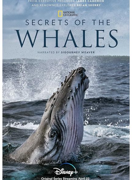 دانلود سریال Secrets of the Whales با دوبله فارسی